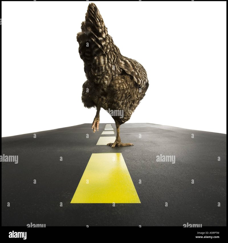 Een Onderzoek naar de Populaire Chicken Road Gokspel in Nederland, chicken road online
